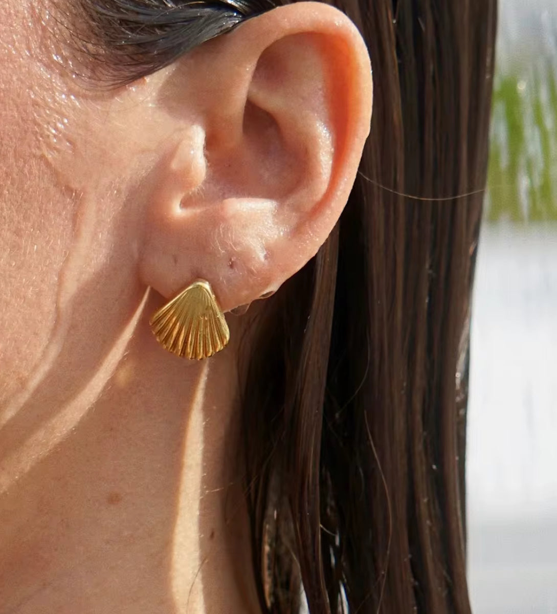 The Shell Earrings you need