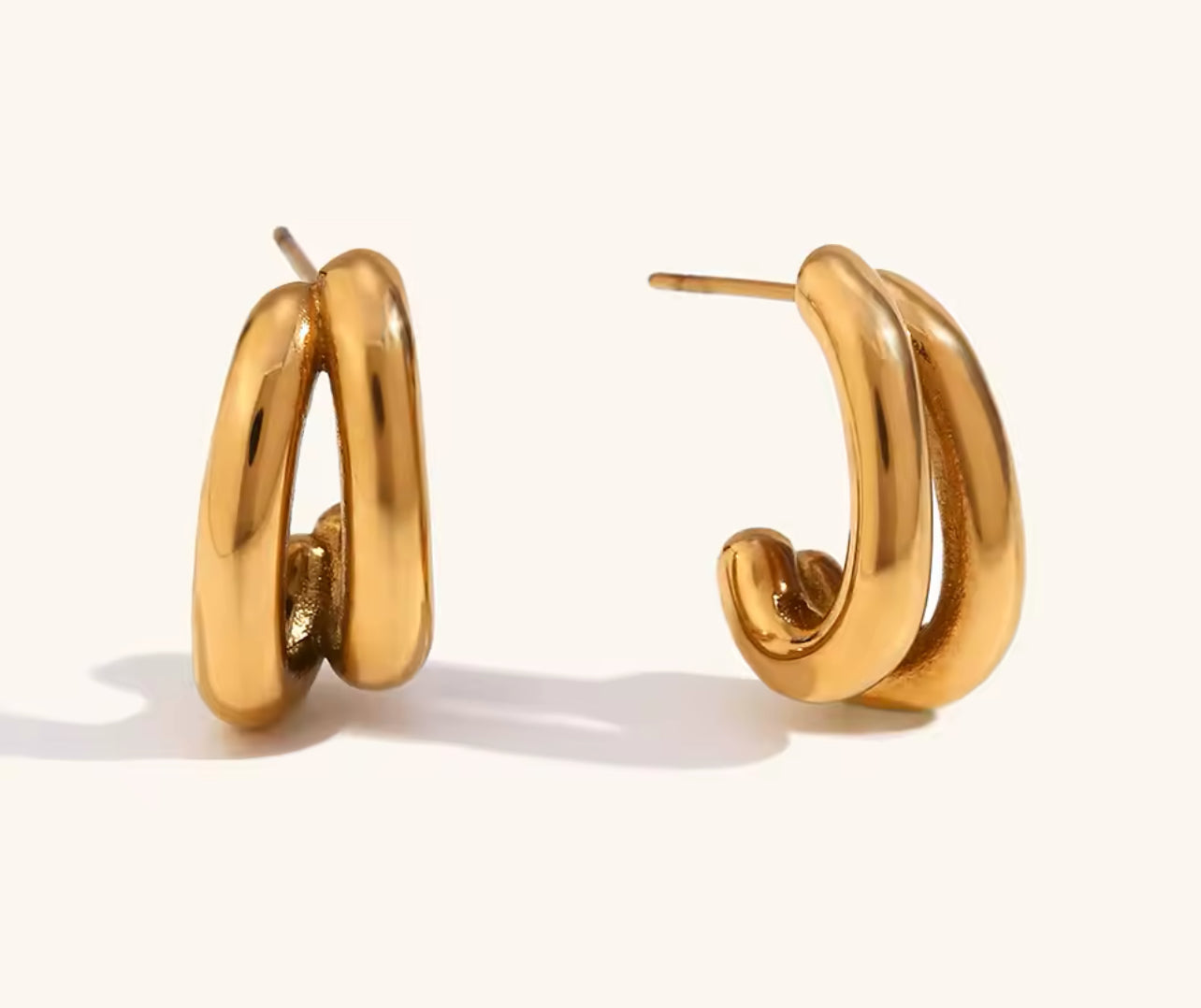 Double Layer Earrings
