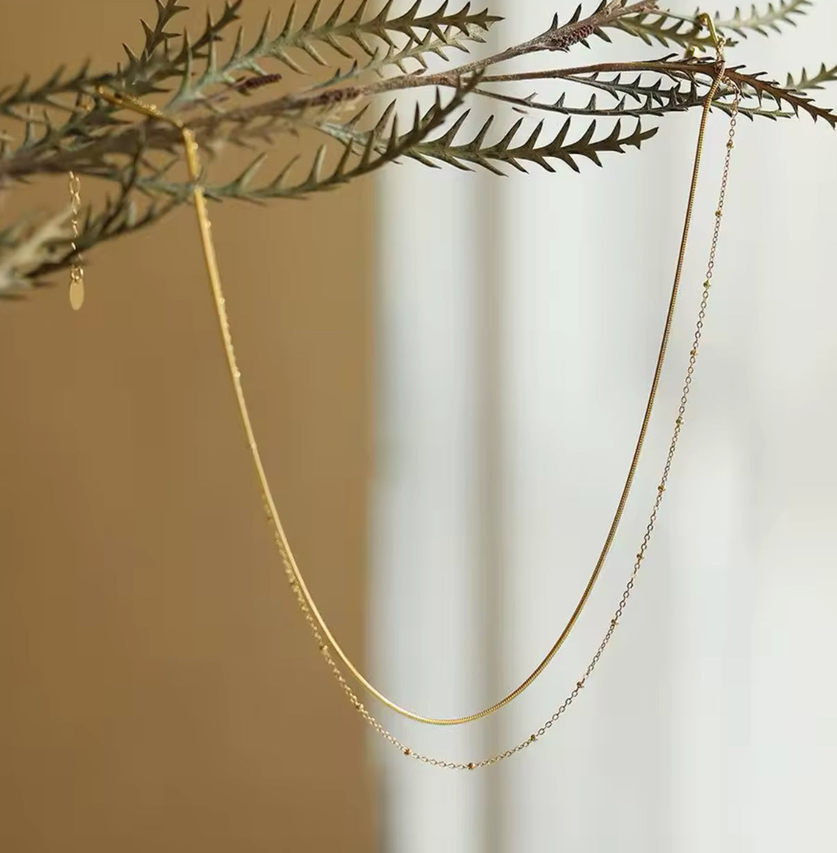 Dainty Double Layered Necklace
