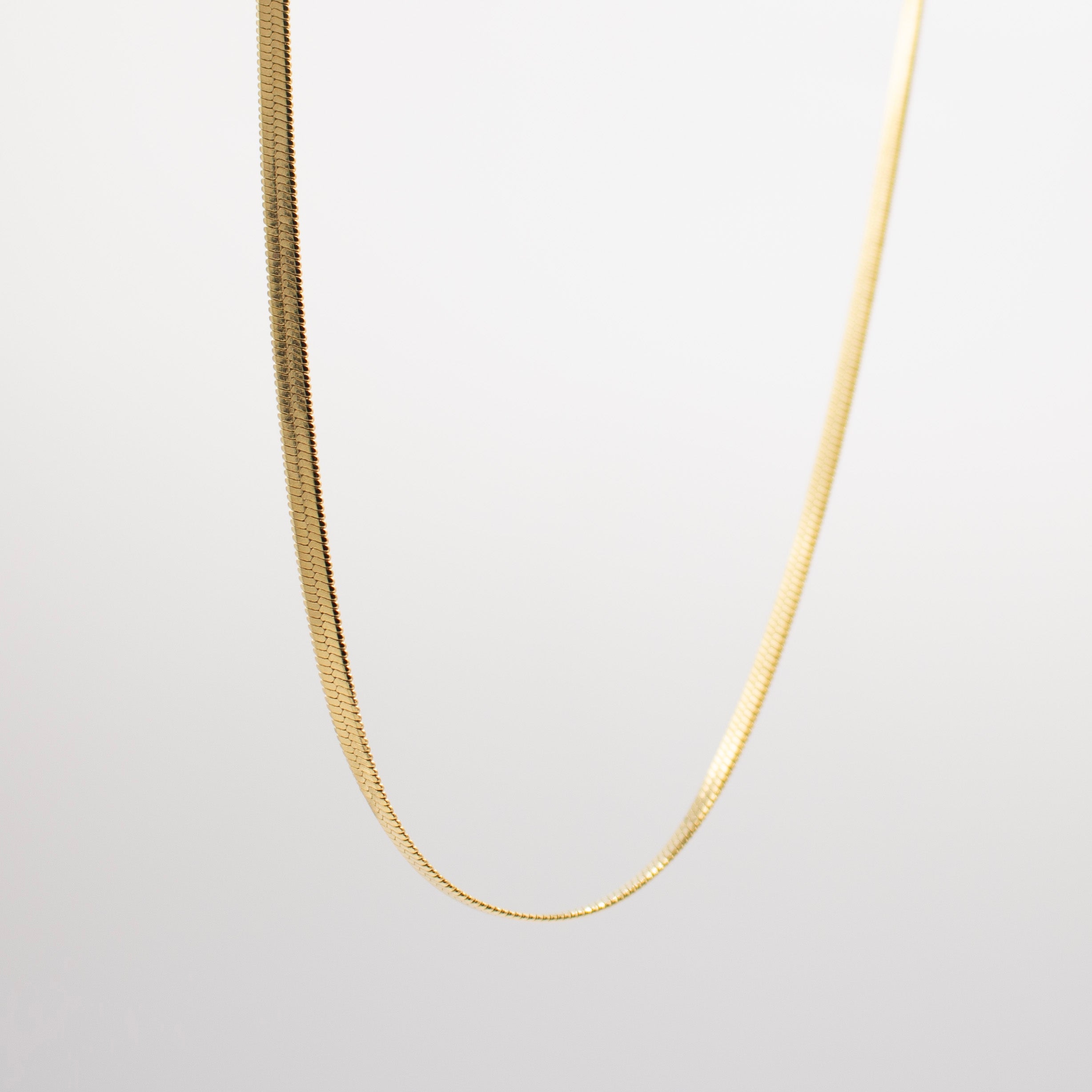 Golden Circlet Necklace