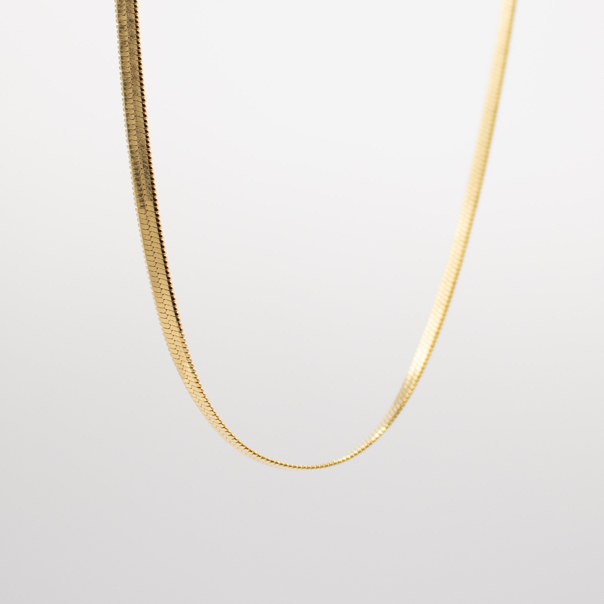 Golden Circlet Necklace