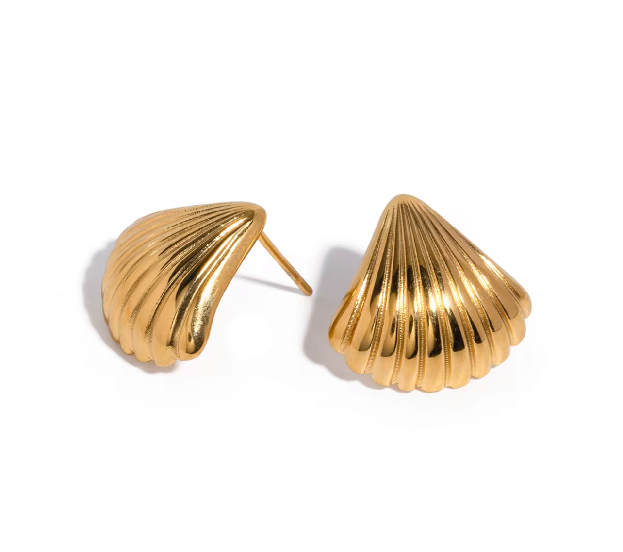The Shell Earrings you need